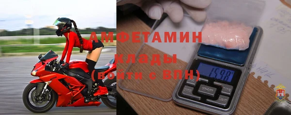 стафф Алзамай