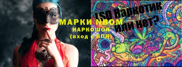 стафф Алзамай