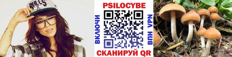 даркнет сайт  Грайворон  Псилоцибиновые грибы Psilocybine cubensis 